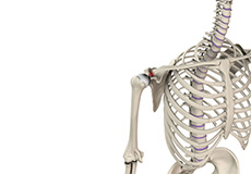 Acromioclavicular (Ac) Joint Reconstruction